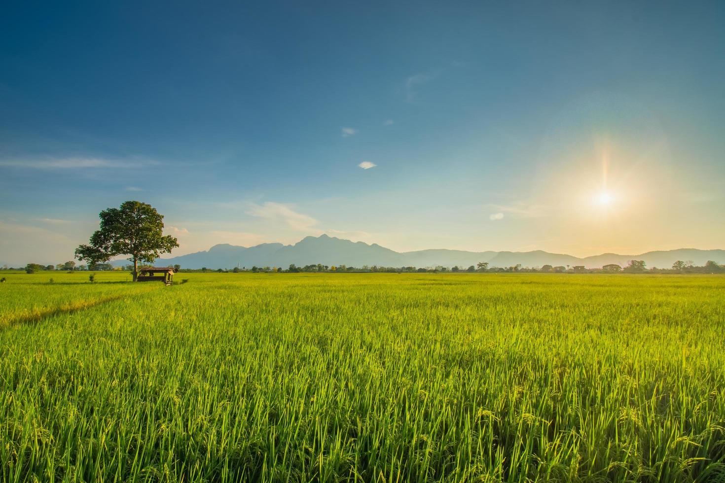 A very beautiful sunset in the mountains called Doi Nang Non. The front view is a green field. The landscape that shines through the orange clouds photo