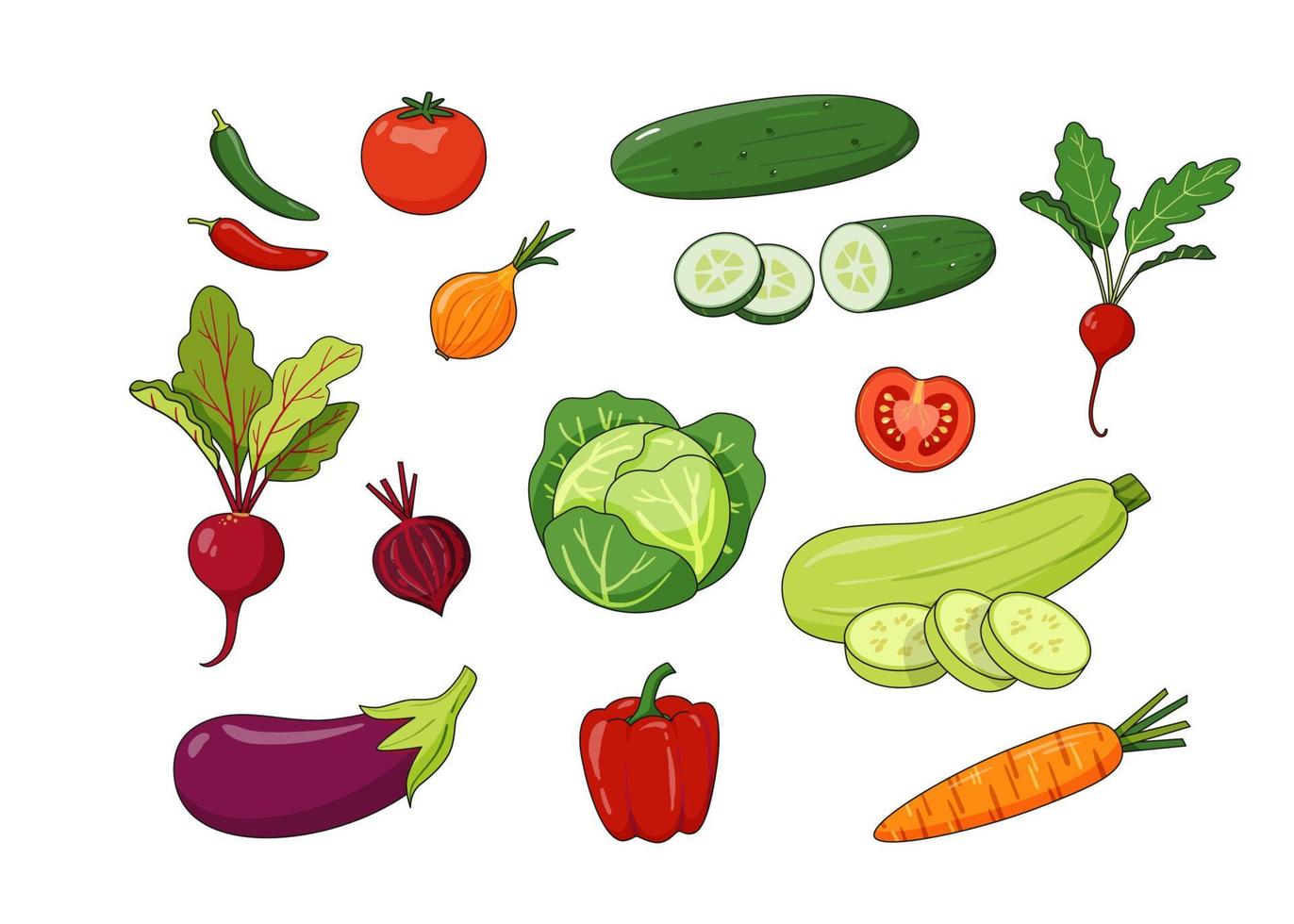 Set of seasonal hand-drawn vegetables in carton style isolated on white background. vector