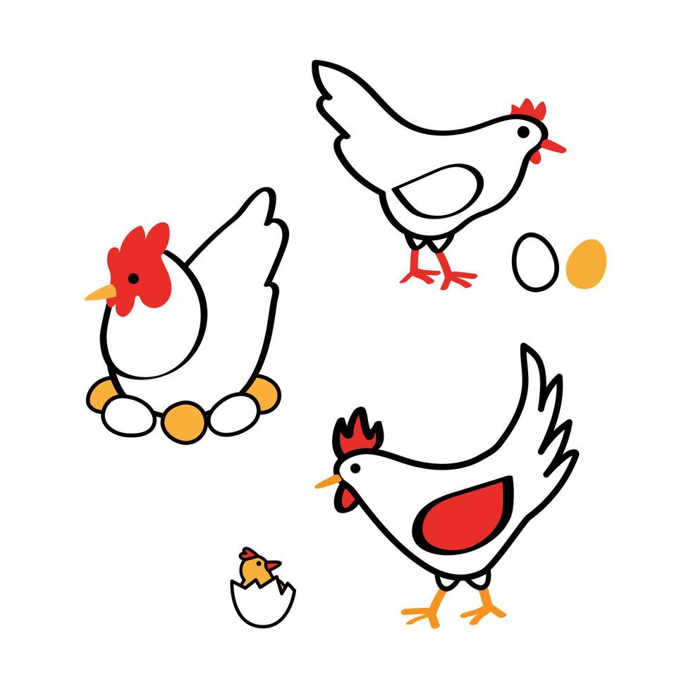 conjunto de icono de línea vectorial aislado en blanco - gallo de gallina y pollo con huevos vector