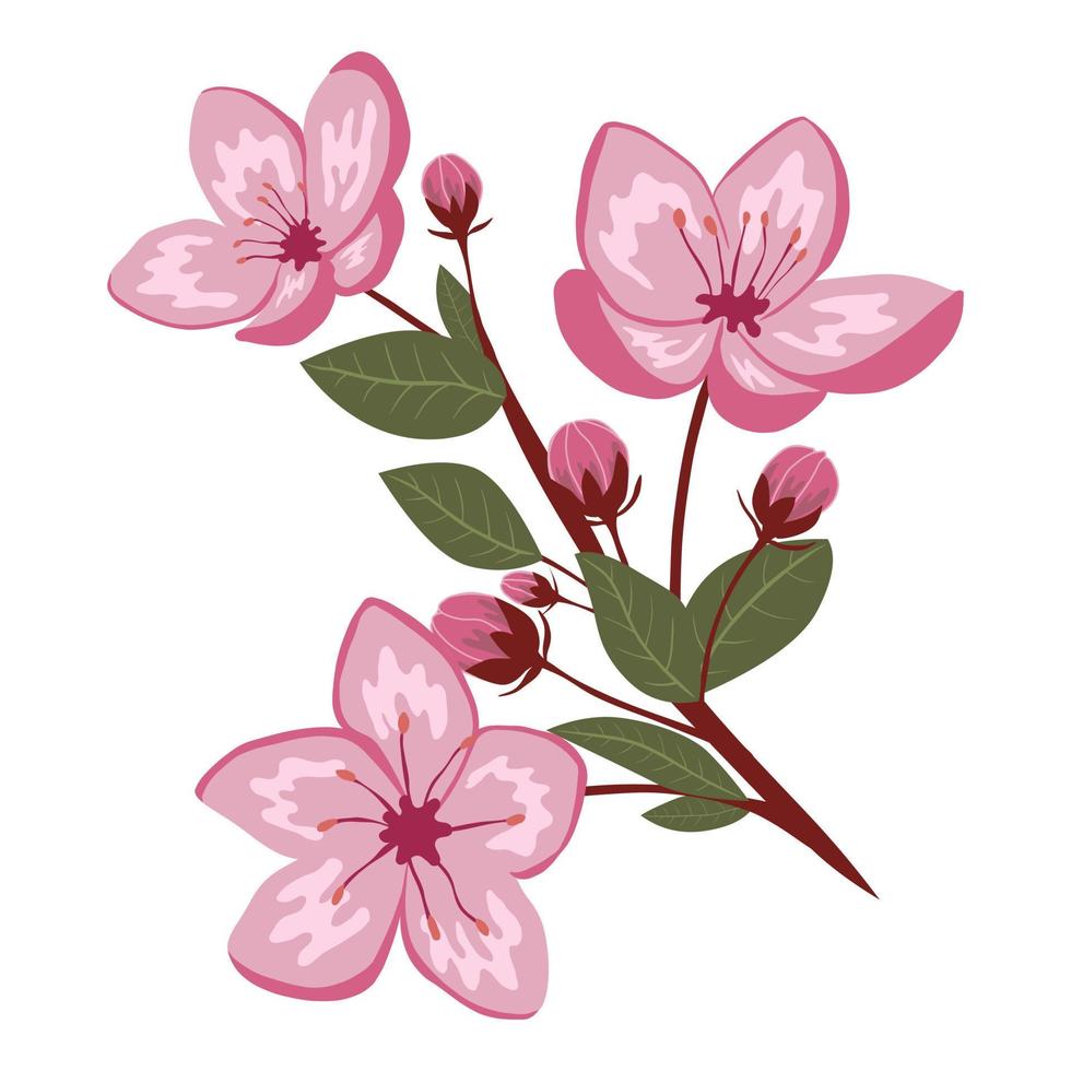 Cute spring cherry blossom vector isolated illustration