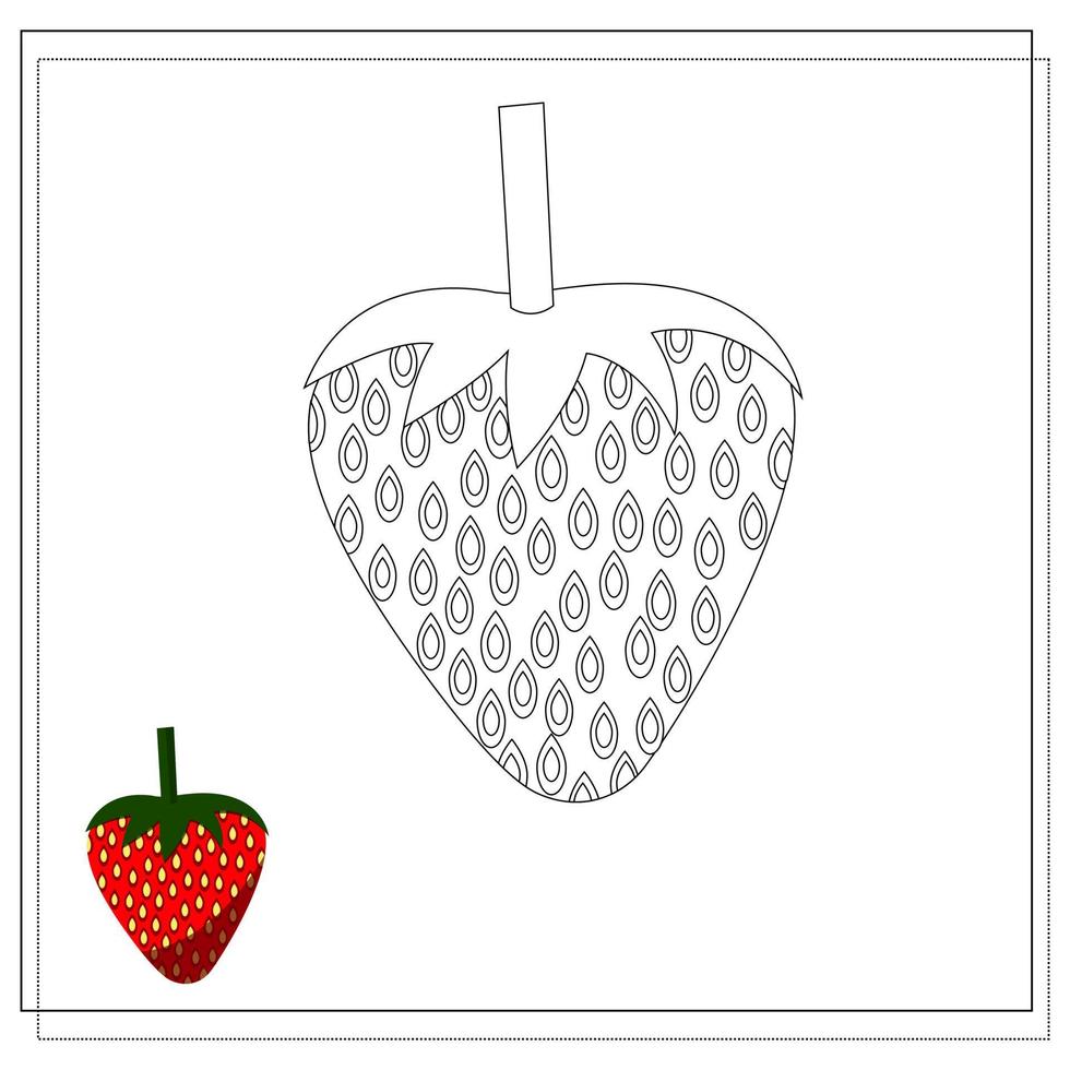 Page of the coloring book, strawberry. Color version and sketch. vector