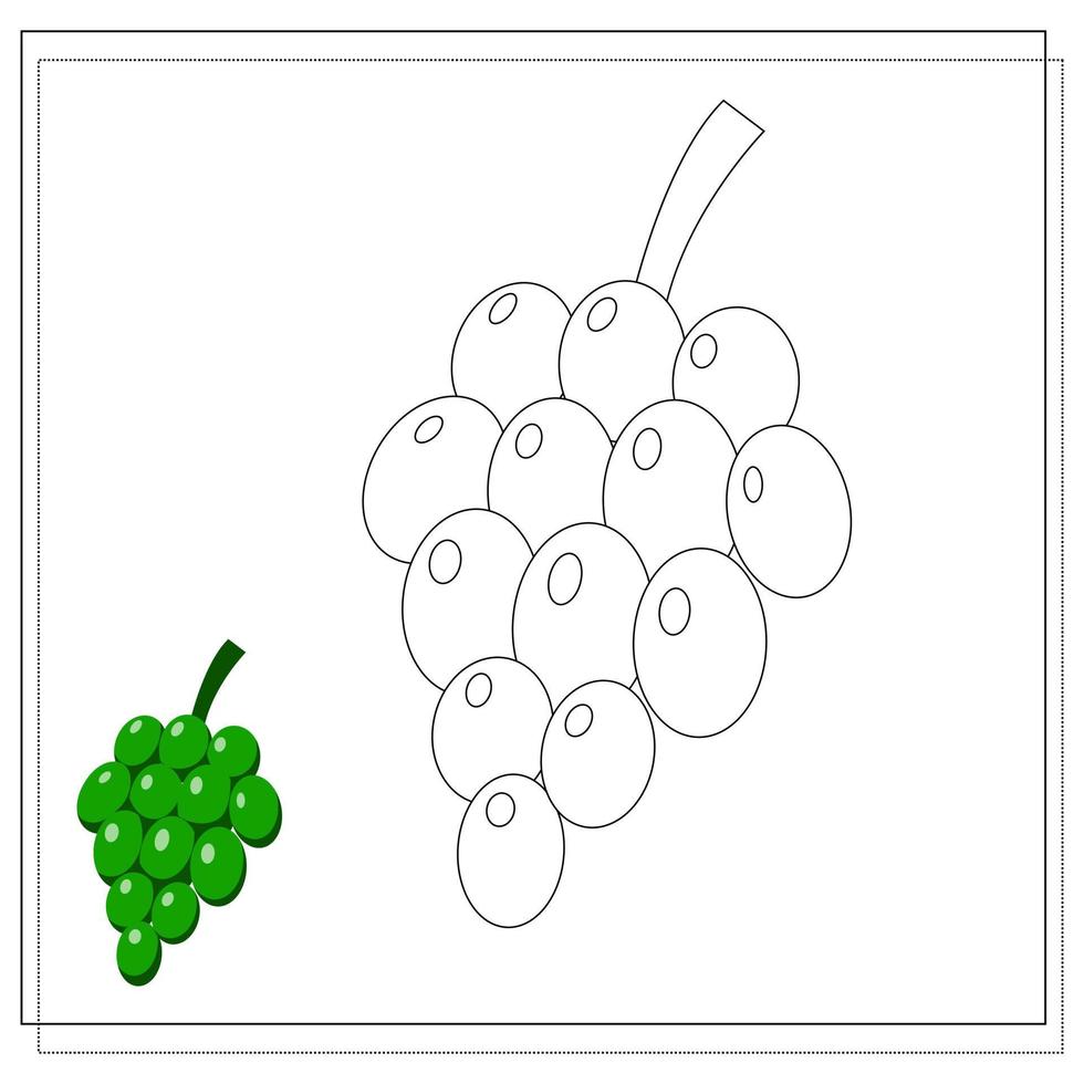 The page of the coloring book, grapes. Color version and sketch. vector