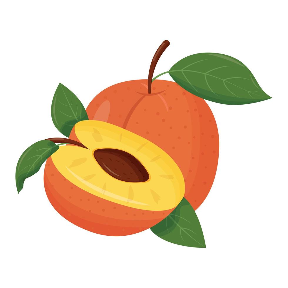 Whole orange peach with green leaf isolated on white background. Flat vector illustration.