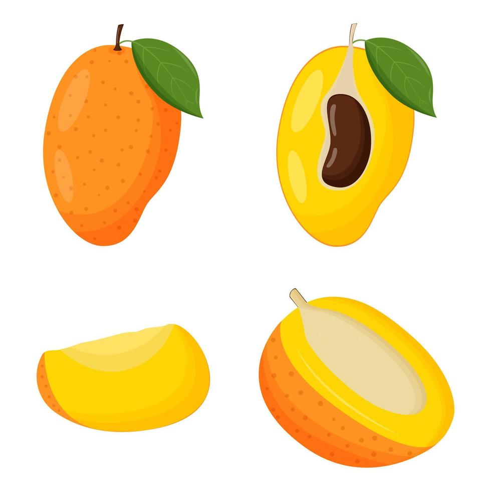 Set of orange mango with green leaves isolated on white background. Flat vector illustration.