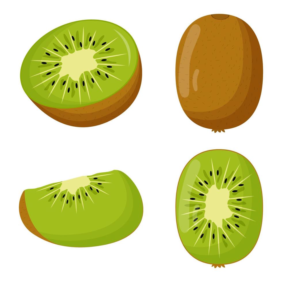 Set of kiwi with green leaves isolated on white background. Flat vector illustration.