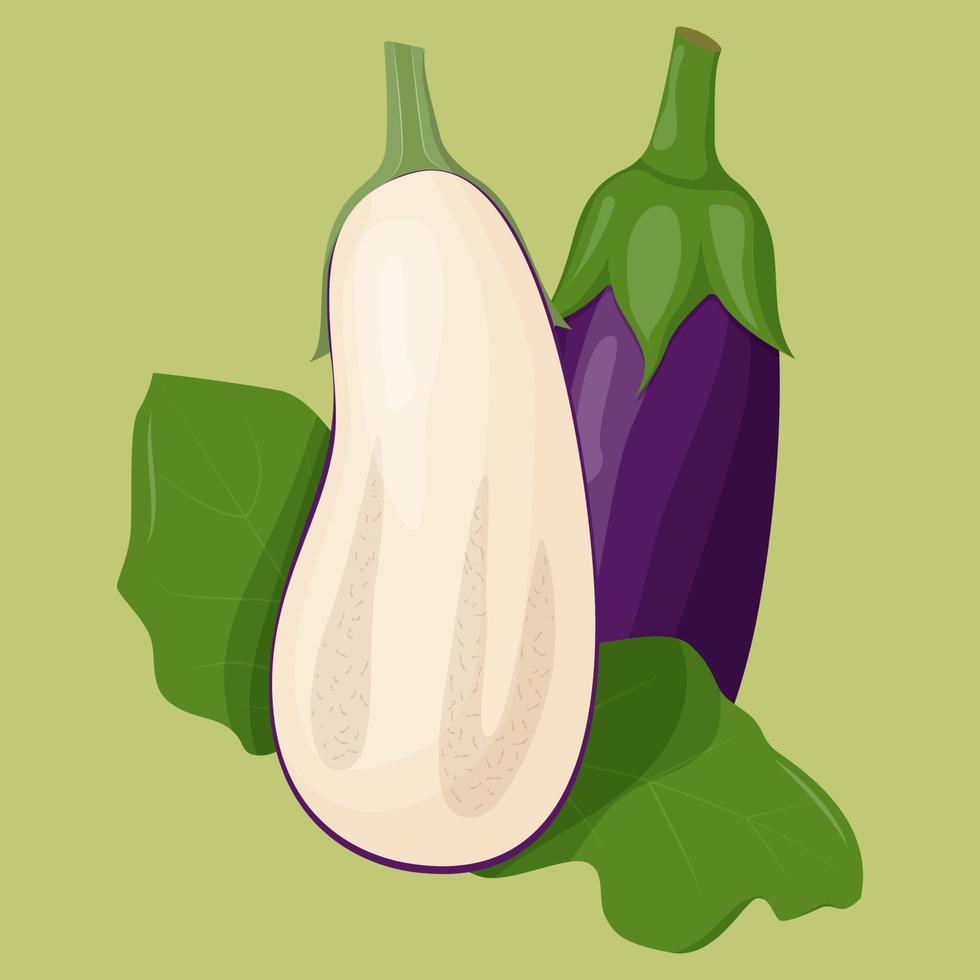 Whole eggplant isolated on background. Flat vector illustration.