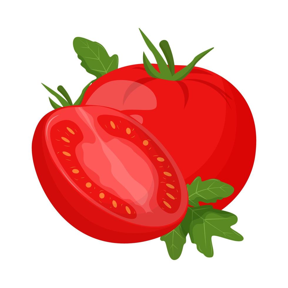Whole tomato isolated on white background. Flat vector illustration.
