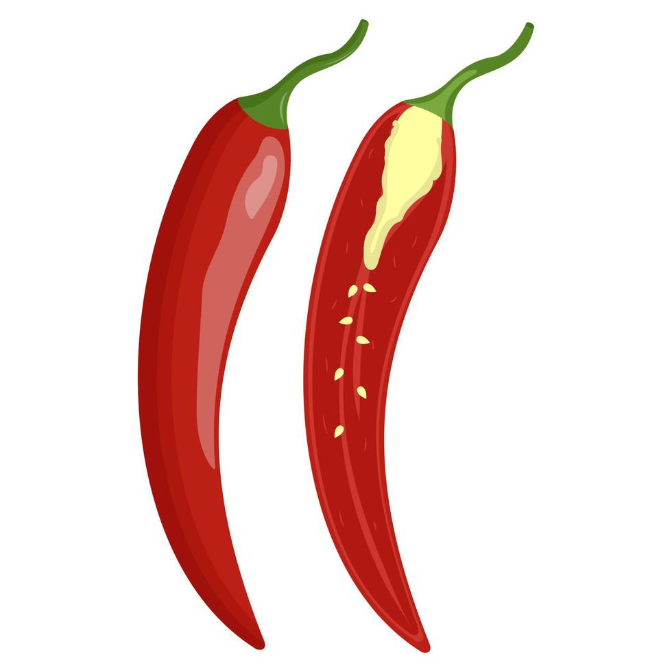 Cute red chili pepper isolated on white background. Flat vector illustration