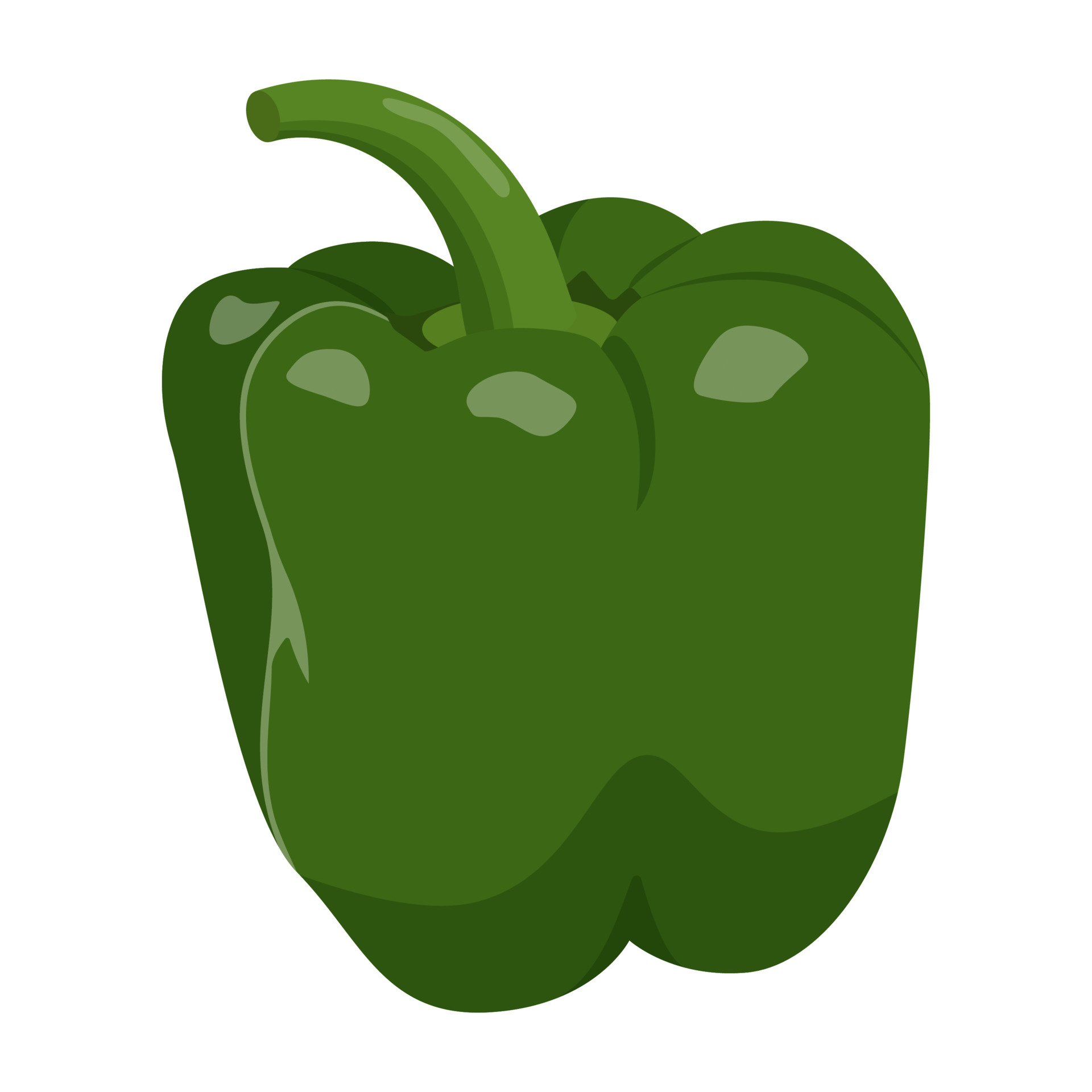 Cute green pepper isolated on white background. Flat vector