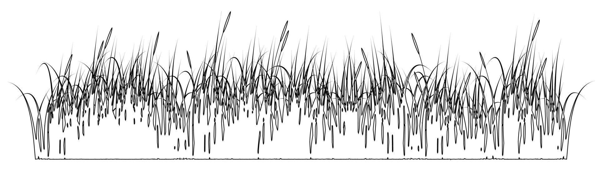 hierba en blanco y negro, dibujo de líneas de hierba vector