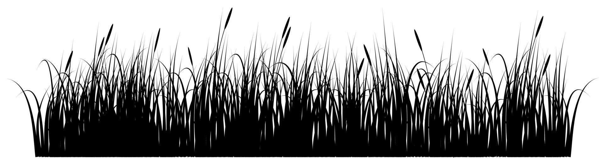 hierba vector blanco y negro