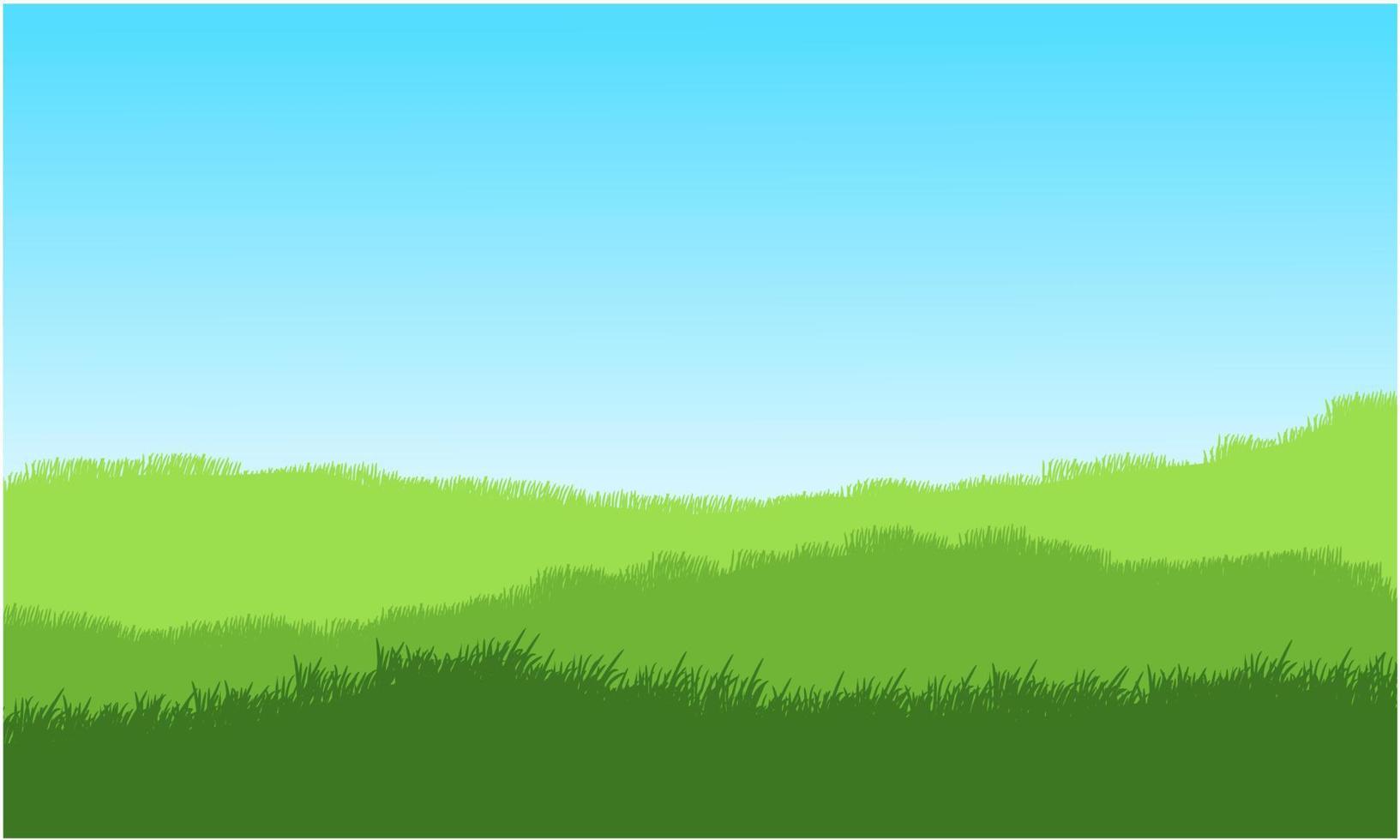 meadow grass, meadow background, grassy landscape vector