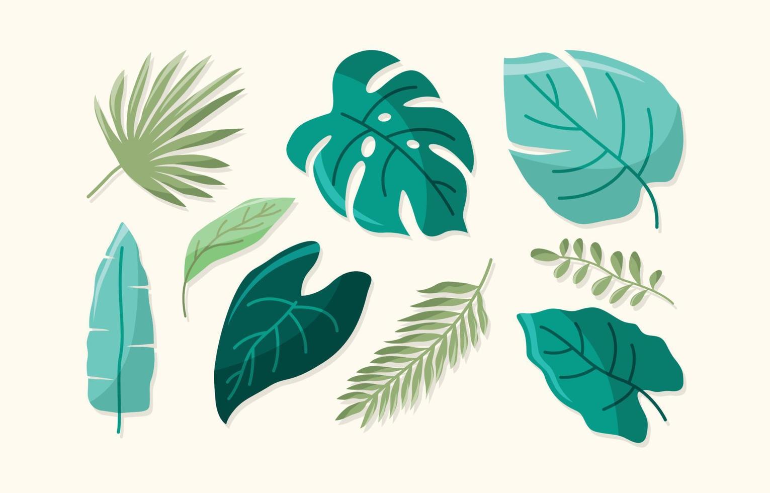 Summer Leaf Elements Collection vector