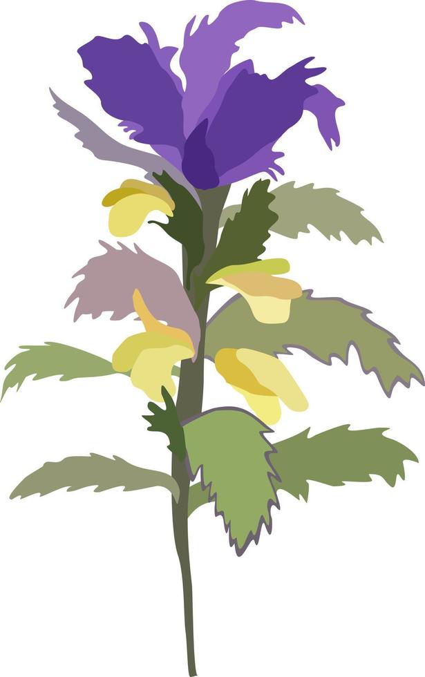 Vector isolated illustration of wood cow-wheat.