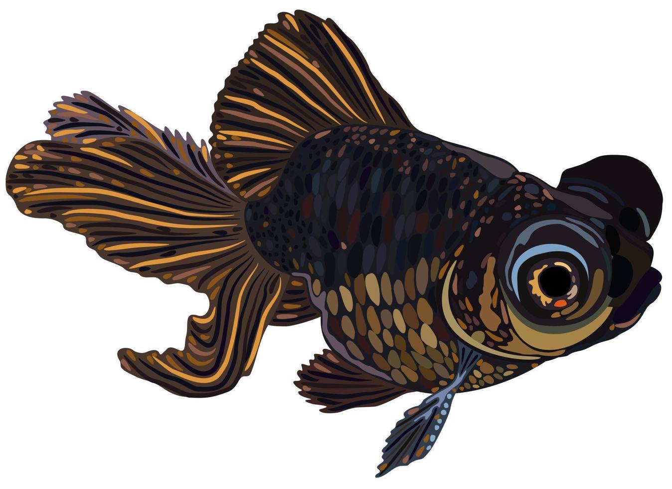 Vector isolated illustration of telescope fish. 7076402 Vector Art