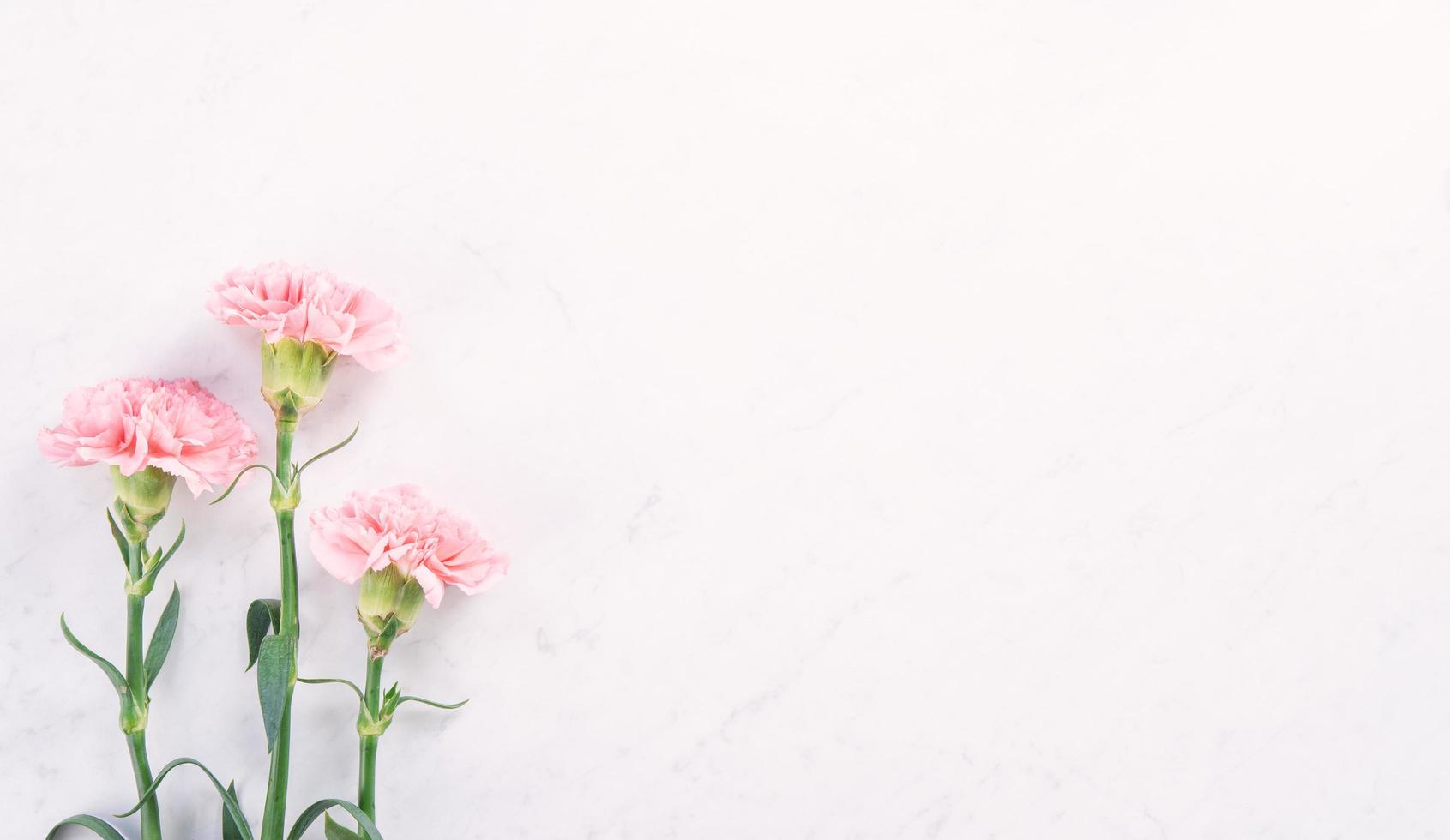 Beautiful, elegant pink carnation flower over bright white marble table background, concept of Mother's Day flower gift, top view, flat lay, overhead photo