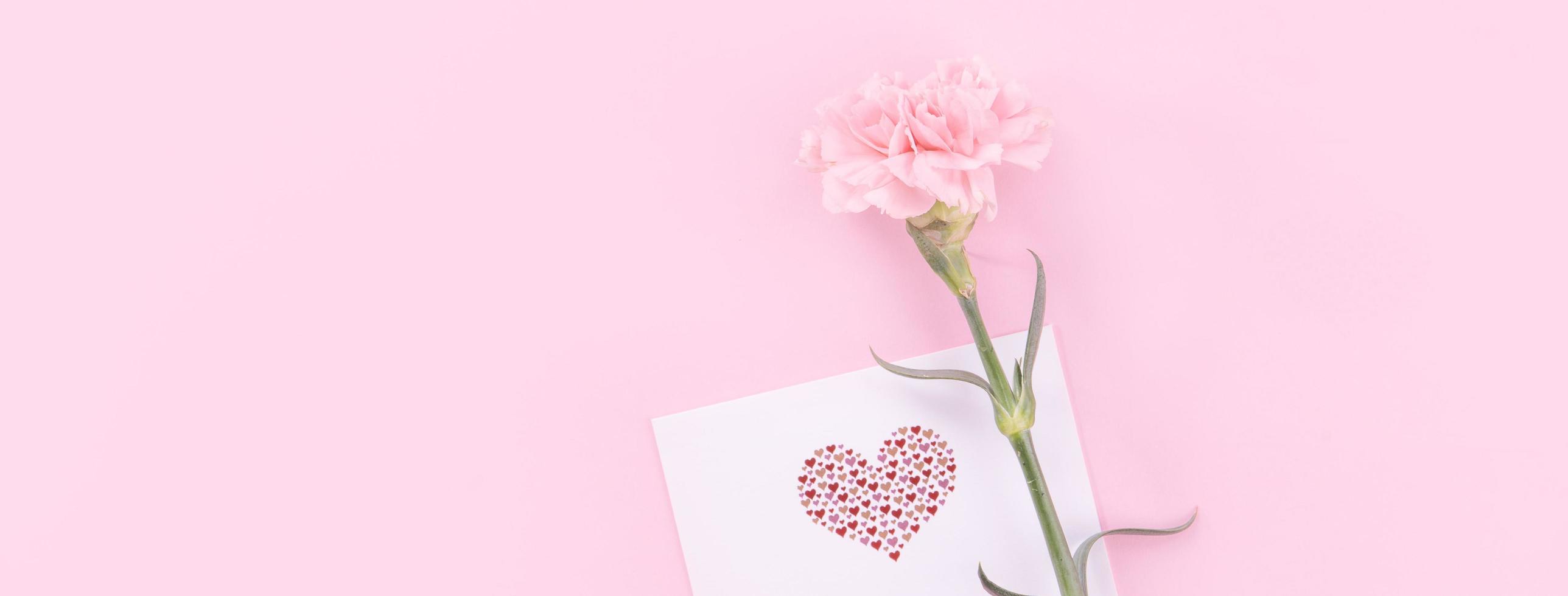 Beautiful, fresh elegant carnation flower bouquet with white greeting thanks gift card isolated on bright pink color background, top view, flat lay concept. photo