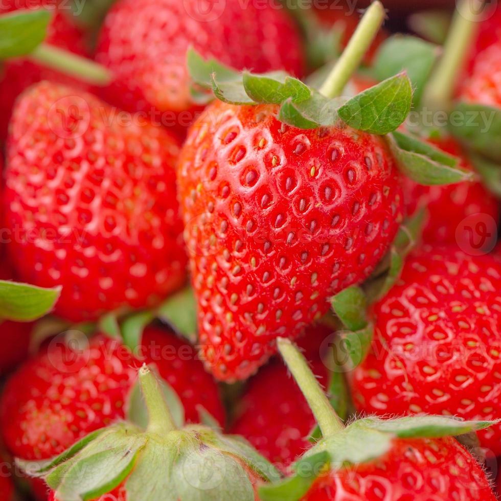 hermosas y deliciosas fresas en una canasta de caja de madera, concepto de agricultura orgánica, entrega directa fresca desde el huerto, primer plano. foto