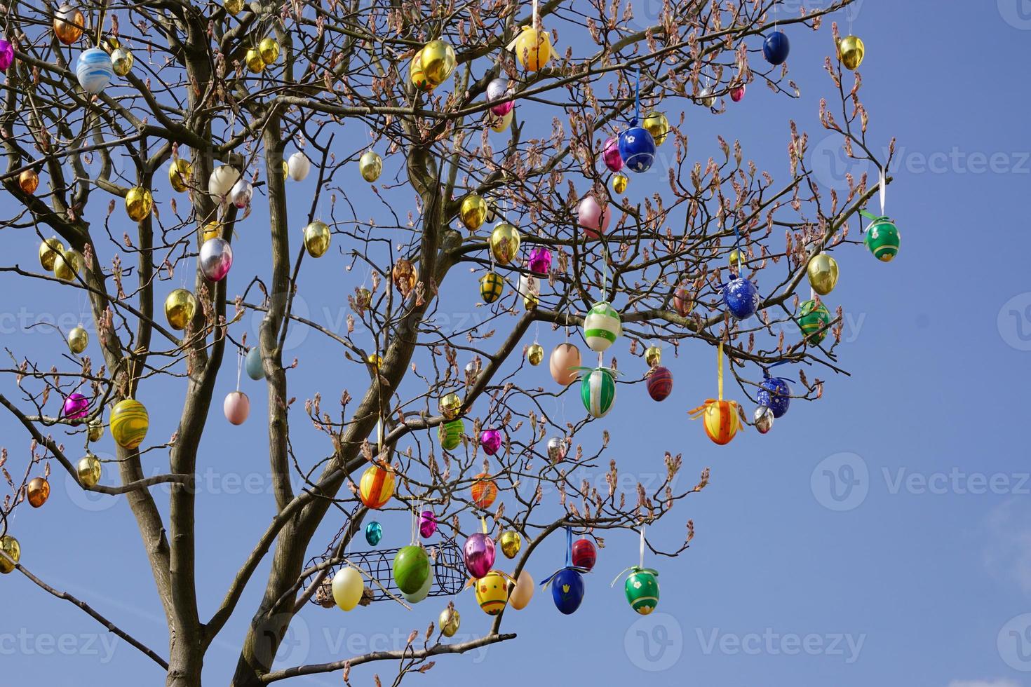 coloridos huevos de pascua en el árbol en el jardín. foto