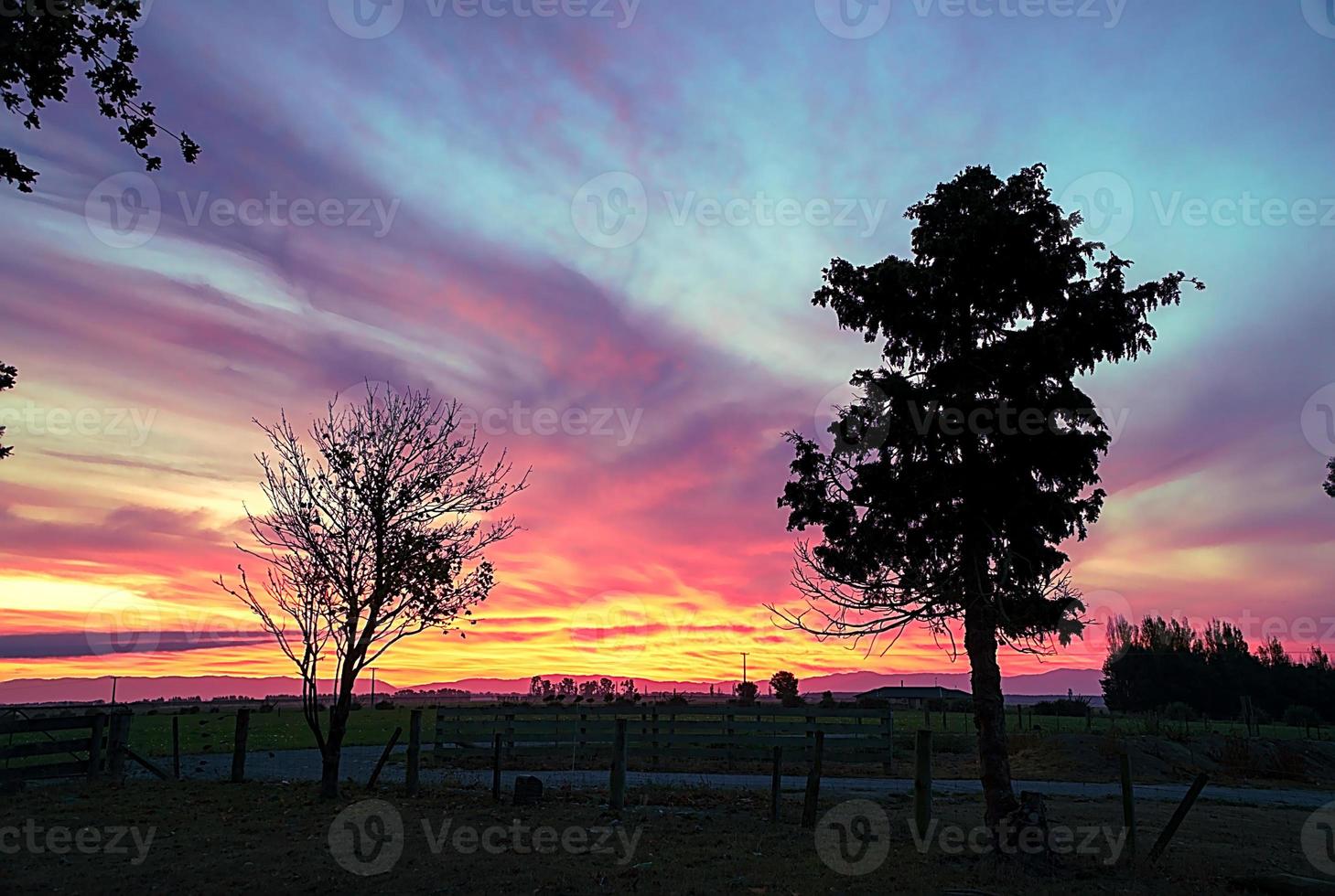 hermosa puesta de sol en la granja con las siluetas de dos árboles foto