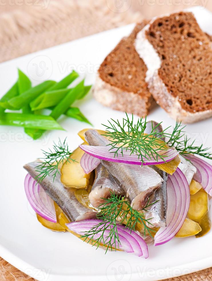 ensalada de arenque con pepinos encurtidos y cebollas foto