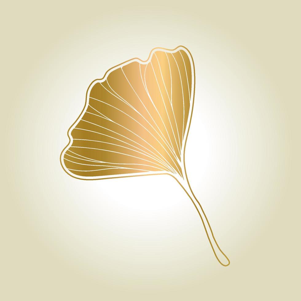 Vector illustration of ginkgo biloba leaf. ink line art design