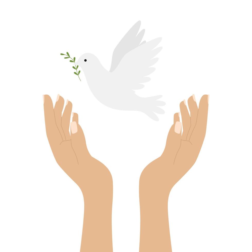 Raised human hands releasing a white dove, a symbol of peace. A flying bird of peace. Color illustration in a flat style isolated on a white background vector