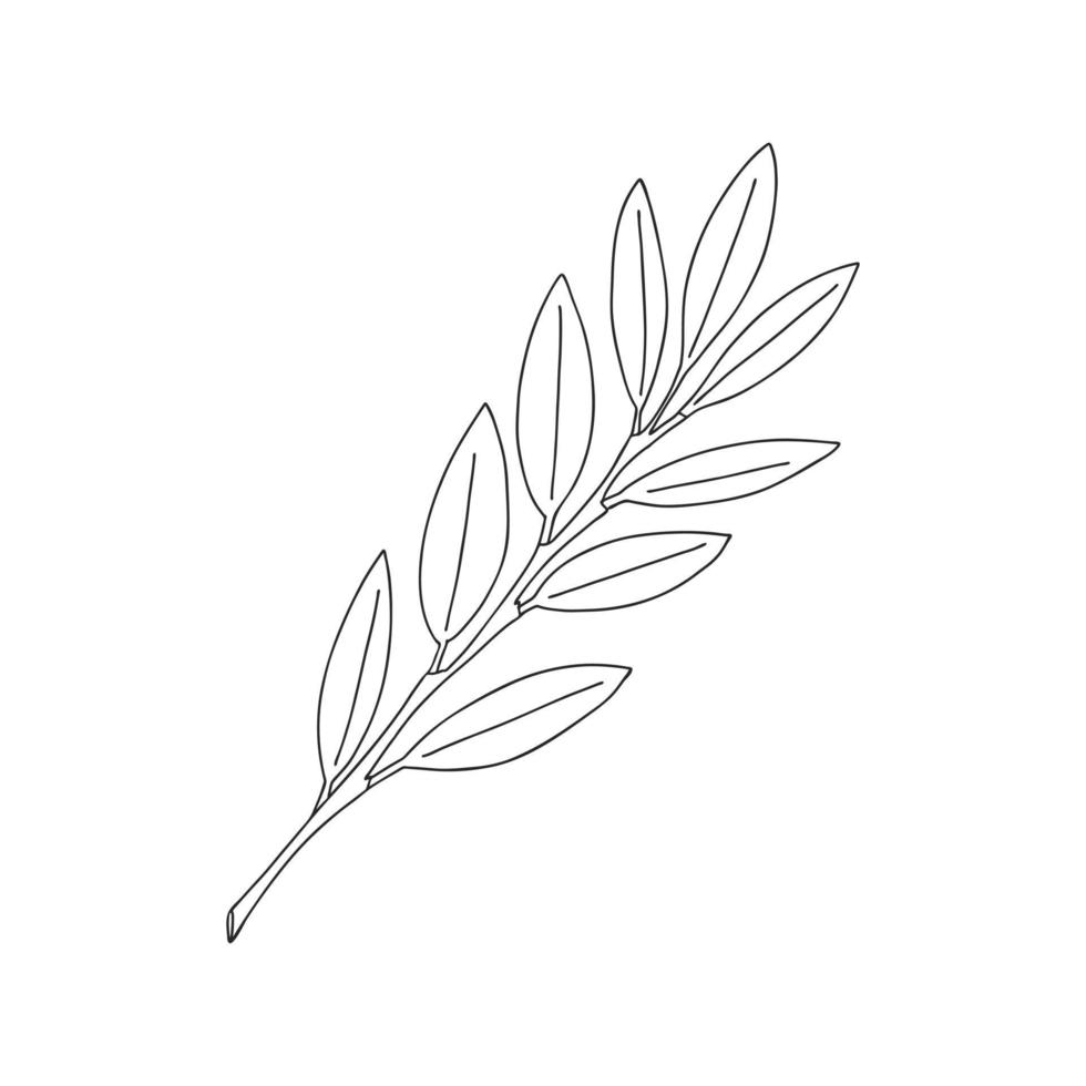 A sprig of plants with leaves on the stem. Botanical decorative element. Simple black and white vector illustration drawn by hand, isolated on a white background.