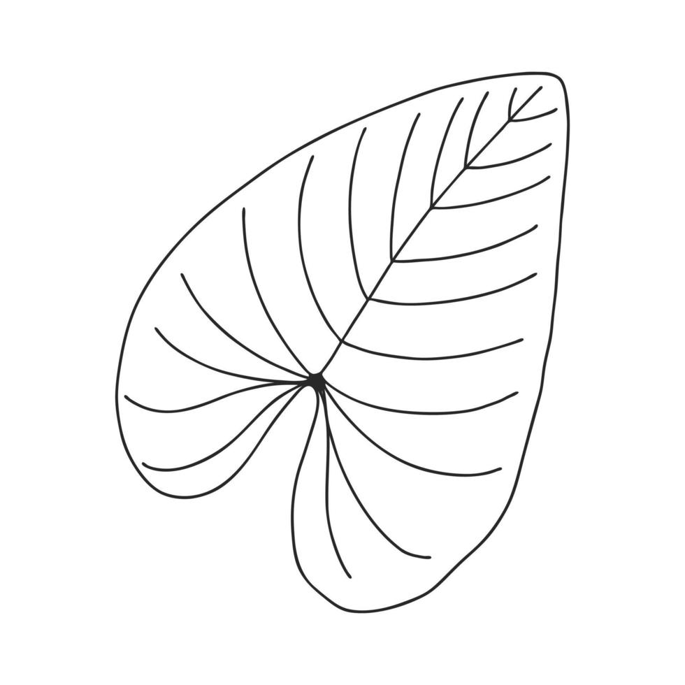 An ordinary leaf of a plant. Botanical decorative element for the design of articles, magazines, recipes and menus. Simple black white vector illustration, hand drawn, isolated on a white background.