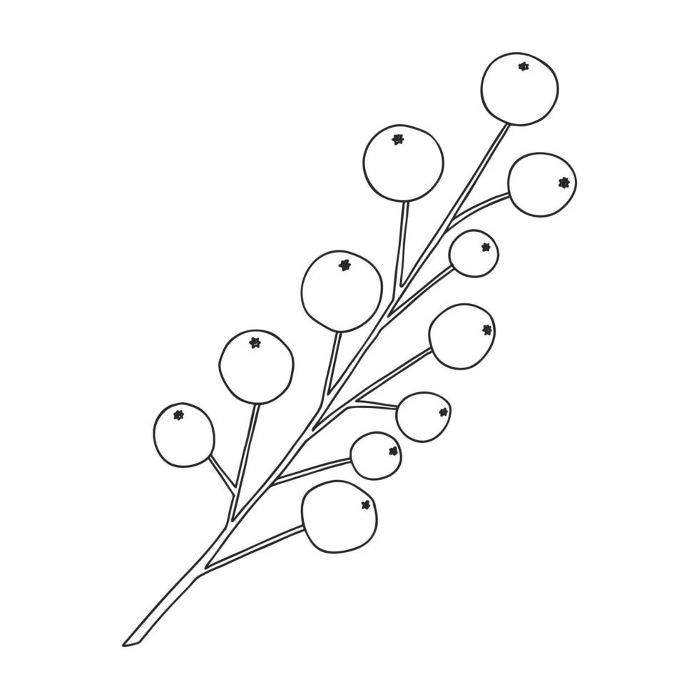 Branch of plant with berries. Botanical design element for the design of magazines,menus and recipes. Simple black and white vector illustration drawn by hand, isolated on a white background.