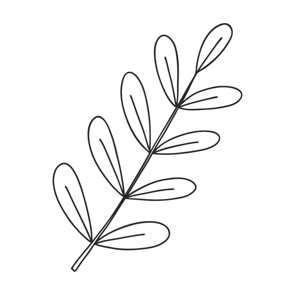 A sprig of plants with leaves on the stem. Botanical decorative element. Simple black and white vector illustration drawn by hand, isolated on a white background.