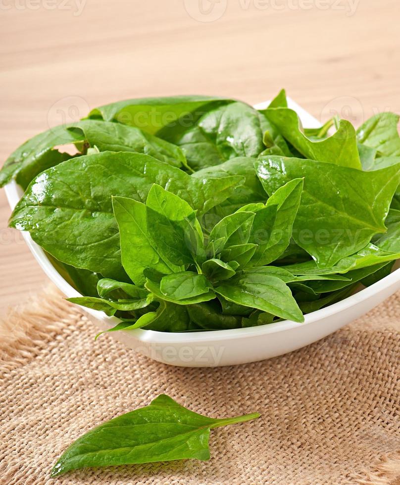 washed spinach leaves in a bowl on a wooden table photo