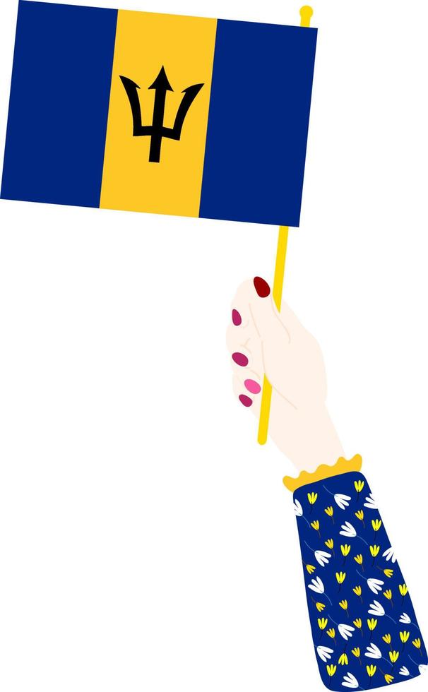 Flag Of Barbados vector