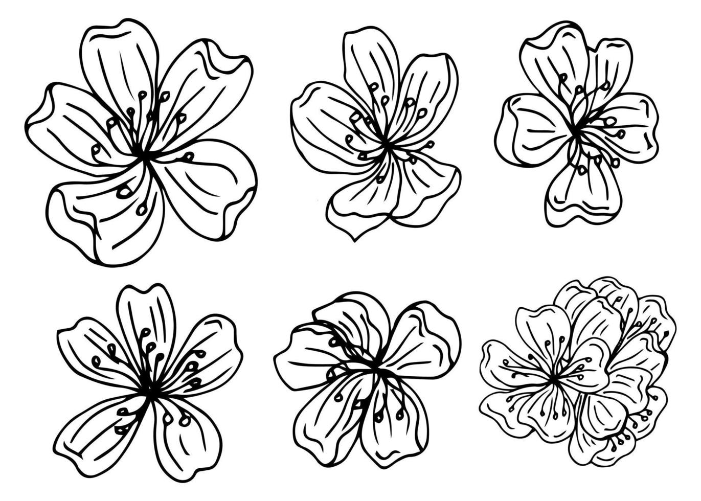 Vector graphic set of hand drawn sakura flowers. Beautiful floral design elements, ink drawing, graceful lines.