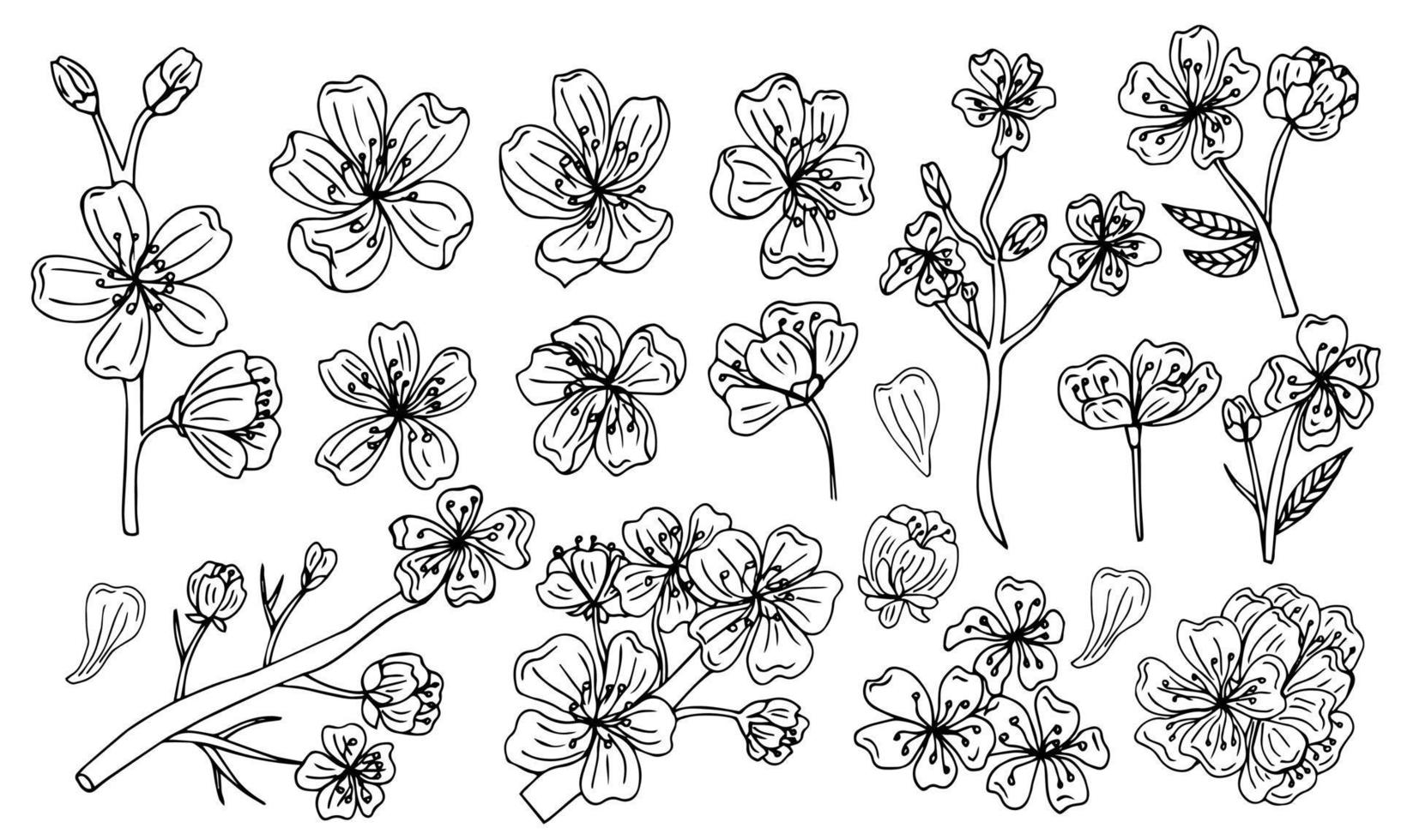 Cherry blossom set. Collection of sakura flowers. Black and white drawing of spring flowers. Line art. Tattoo. vector