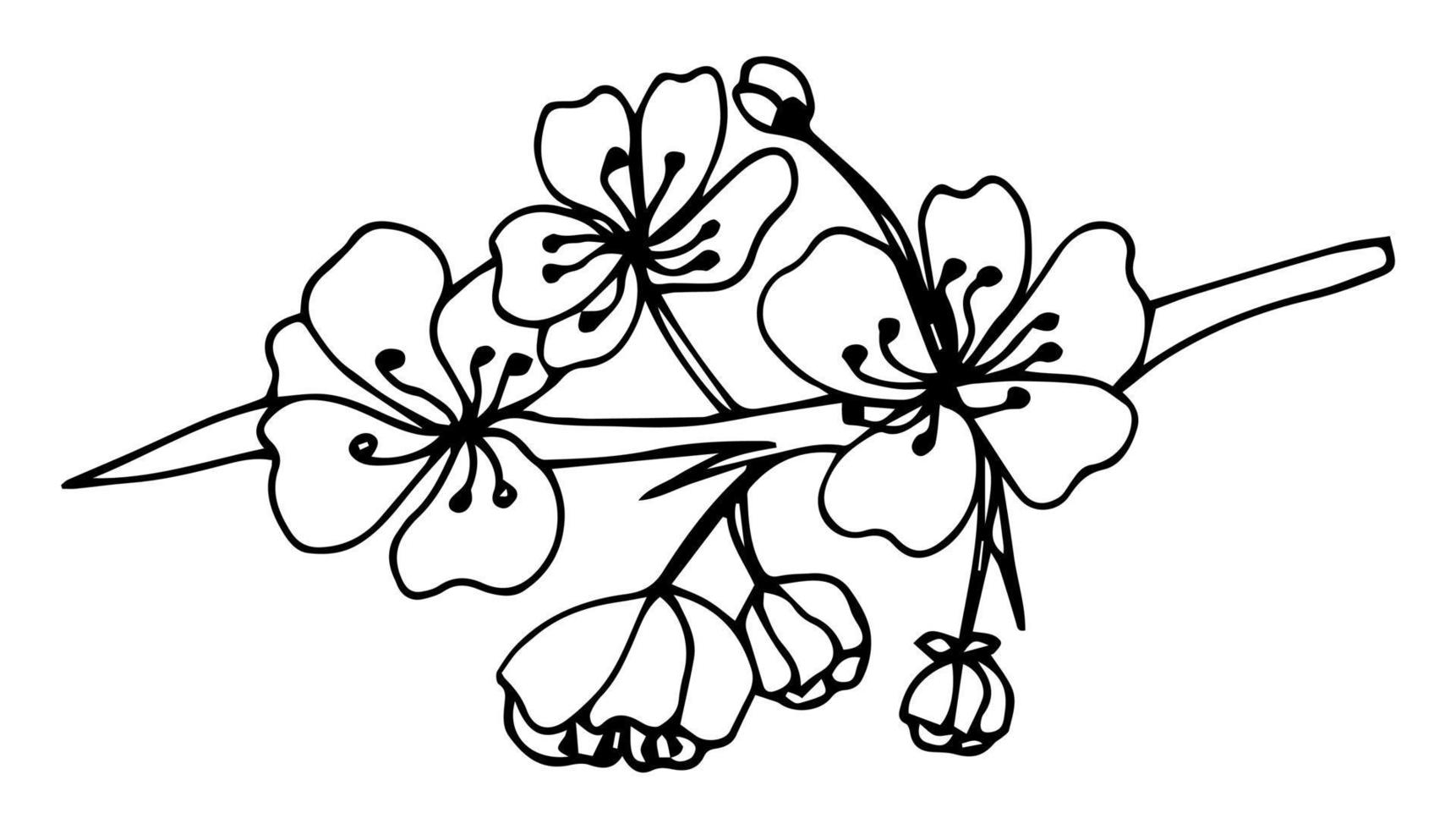 Sketch of spring flowers of quince, almond, apple tree branches with buds and flowers. Hand draw botanical doodle vector illustration in black contrast with white fill.