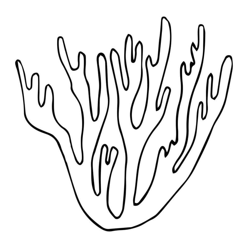 Ilustración de vector de stock de garabato dibujado a mano de coral. Dibujo para colorear de animales marinos bajo el agua para niños. contorno negro de coral invertebrado marino simple aislado en blanco.