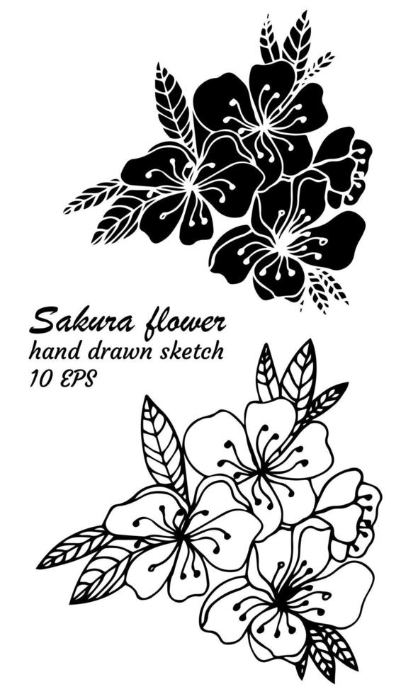 Flower art line. Sakura or Apple blossoms in vector isolated on white background. Spring flowers drawn in black and white line. Icon or symbol of spring and flowers.Doodle outline. Sketch.