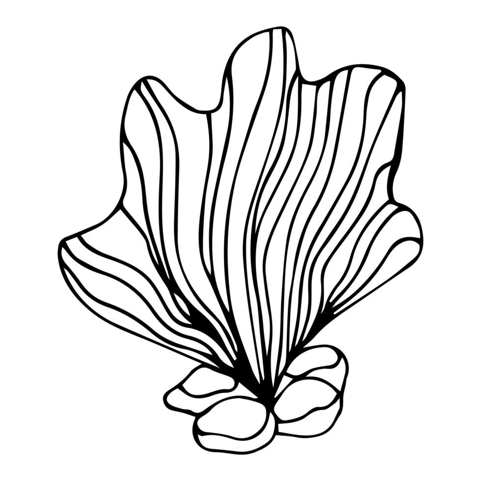 plantilla de coral de contorno simple aislada vectorial. boceto de garabato de contorno de rama de coral de línea negra incolora. vector