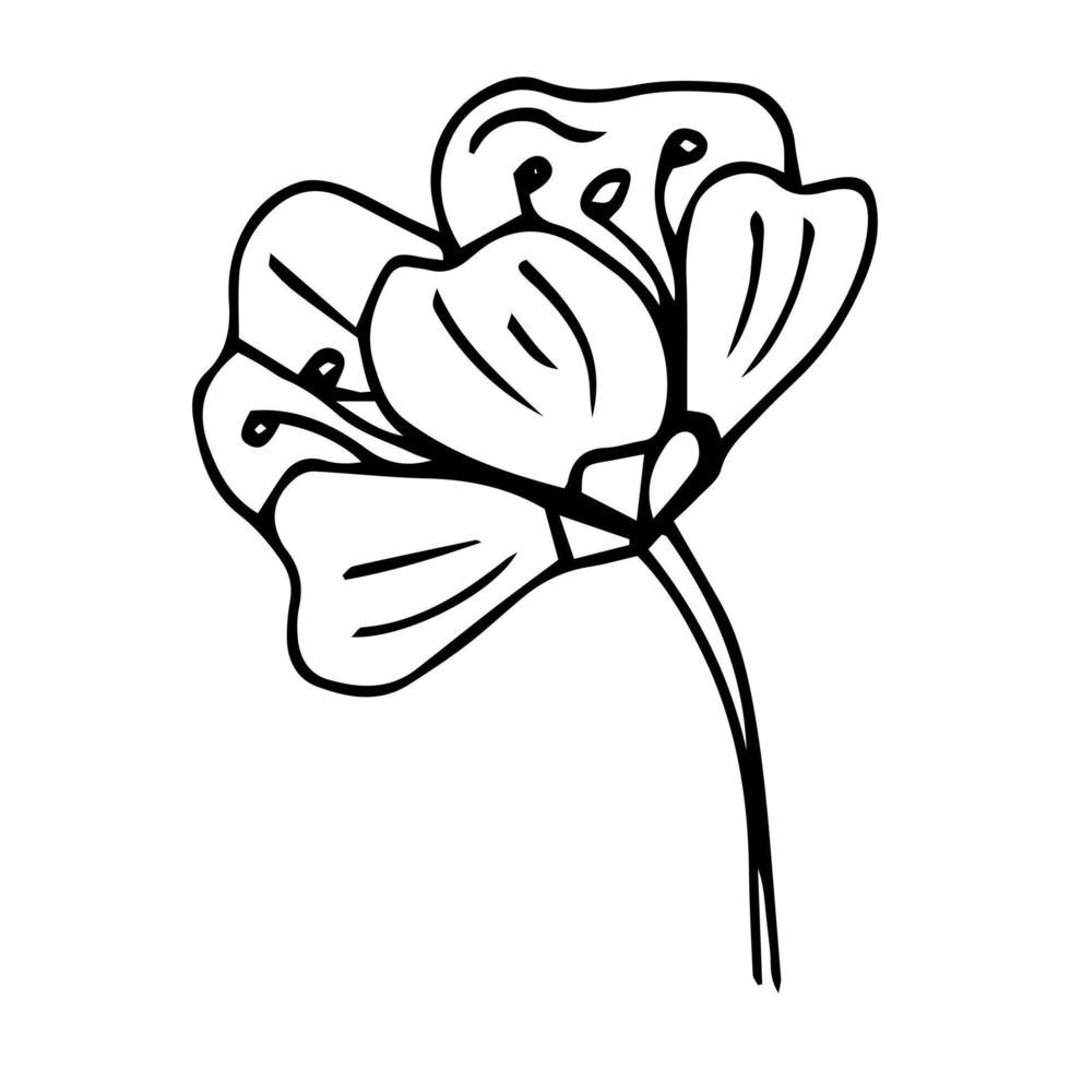 Flower art line. Sakura or Apple blossoms in vector isolated on white background. Spring flowers drawn in black and white line. Icon or symbol of spring and flowers.Doodle outline. Sketch.