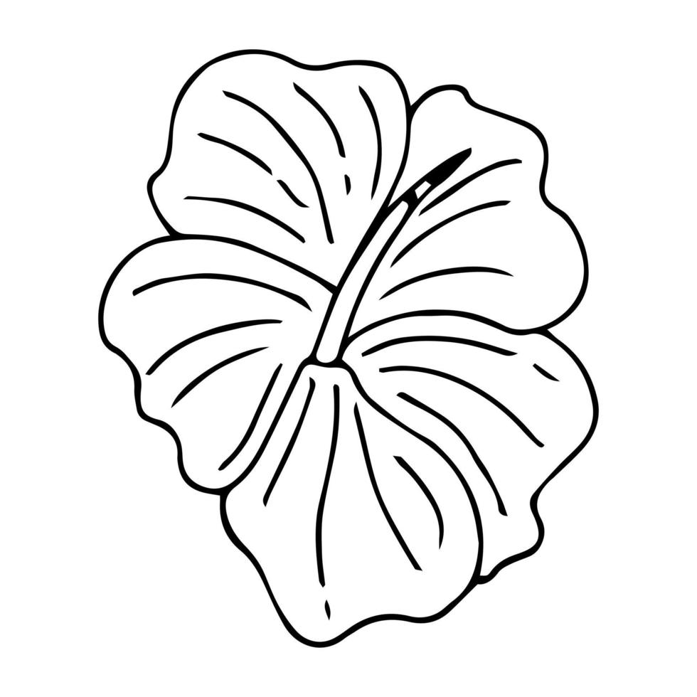 Hibiscus flower outline. Hibiscus line art vector illustration isolated on white background. Tropical flower silhouette icon, blossom doodle and simple element. Exotic tropical plant symbol.