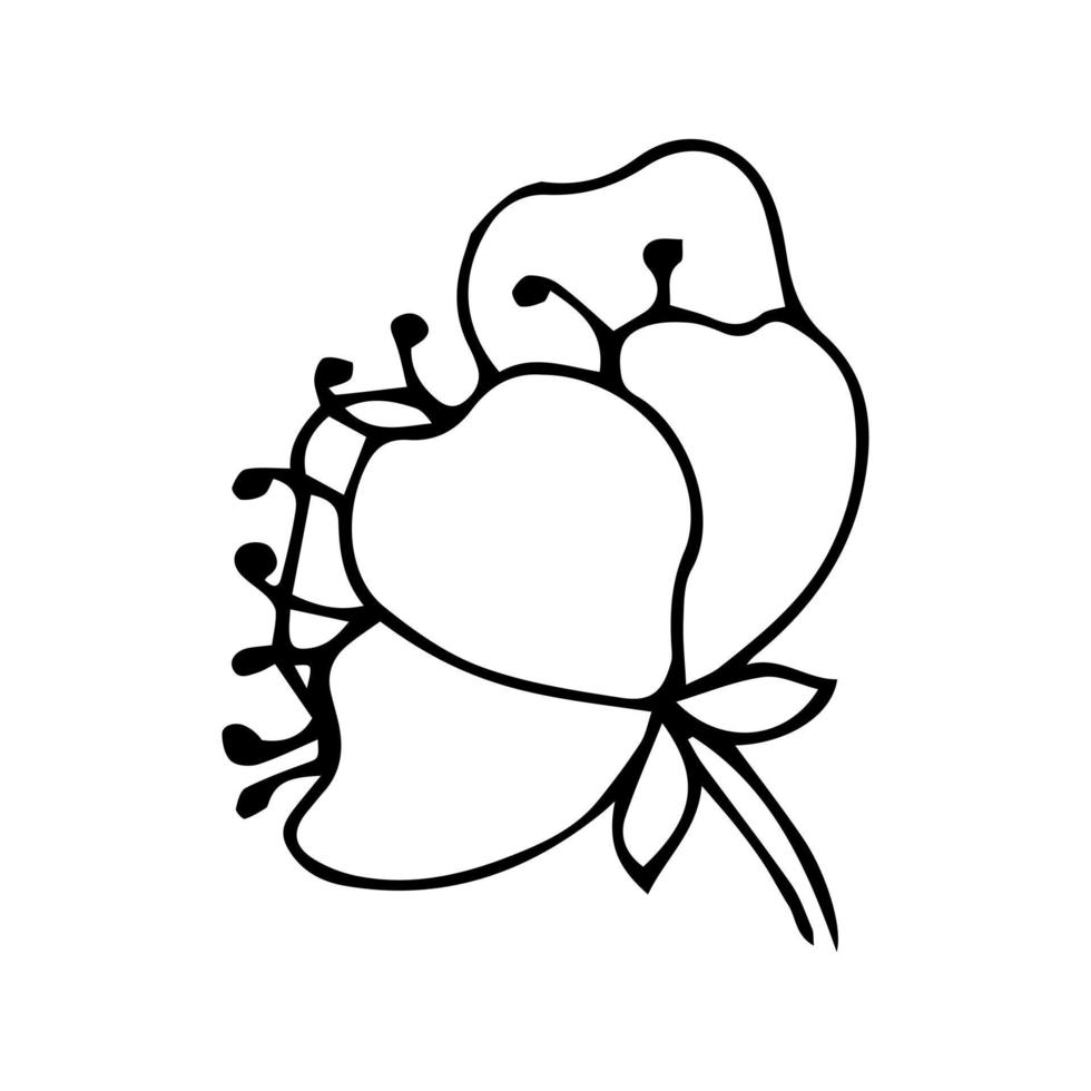 Flower art line. Sakura or Apple blossoms in vector isolated on white background. Spring flowers drawn in black and white line. Icon or symbol of spring and flowers.Doodle outline. Sketch.