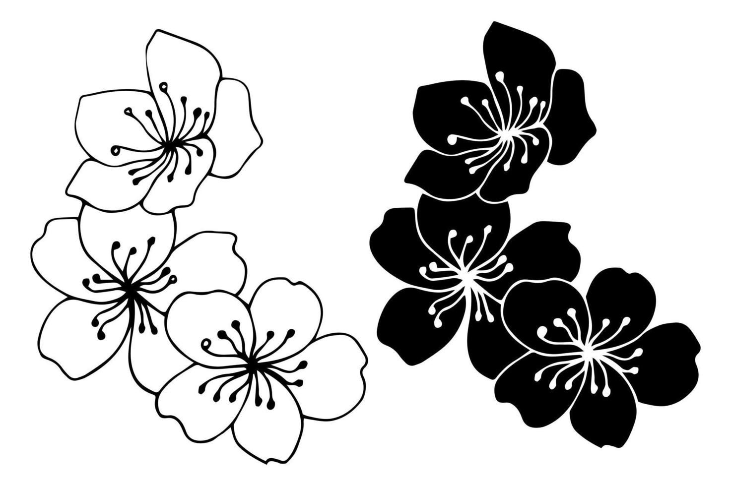 Flower art line. Sakura or Apple blossoms in vector isolated on white background. Spring flowers drawn in black and white line. Icon or symbol of spring and flowers.Doodle outline. Sketch.