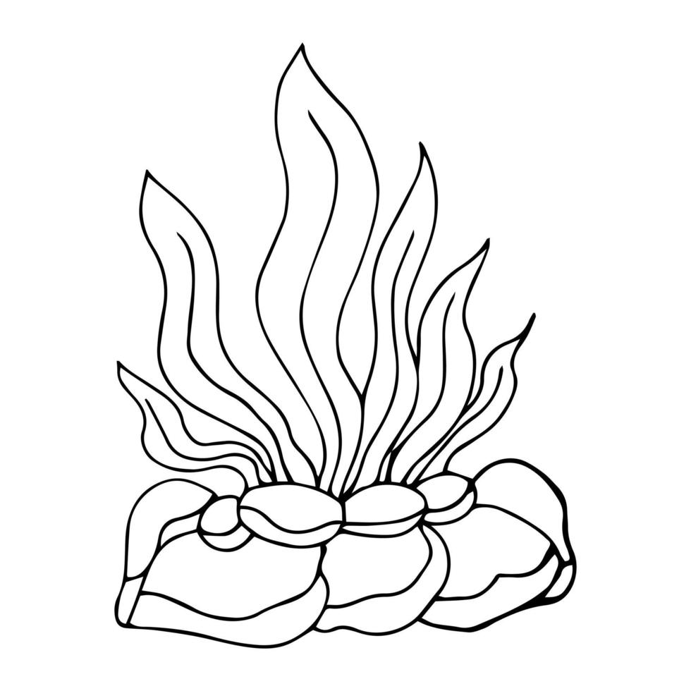 Vector isolated simple contour coral template. Colorless black line coral branch outline doodle sketch.