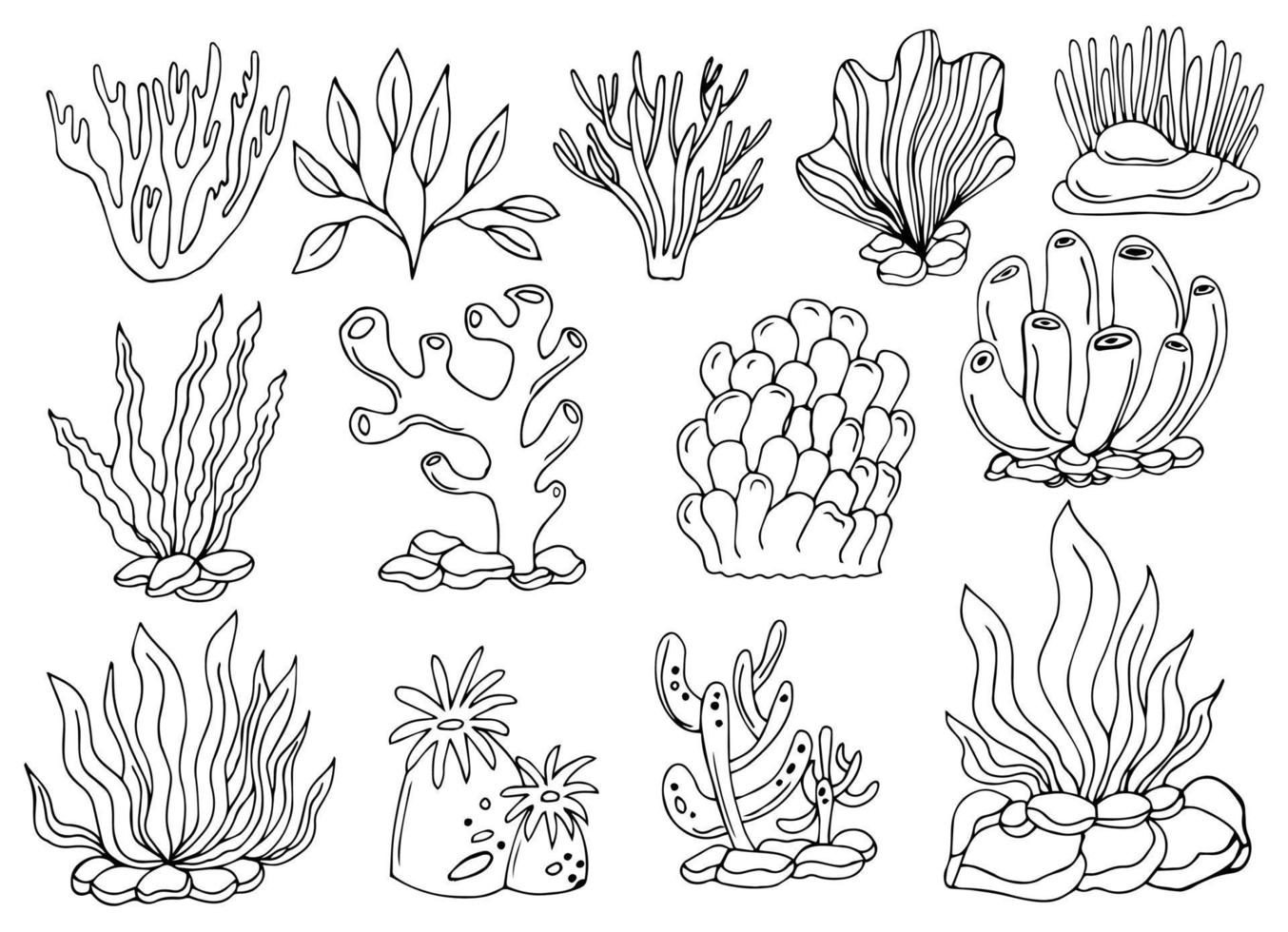corales y algas marinas dibujadas a mano, garabatos, conjunto de vectores de estilo boceto