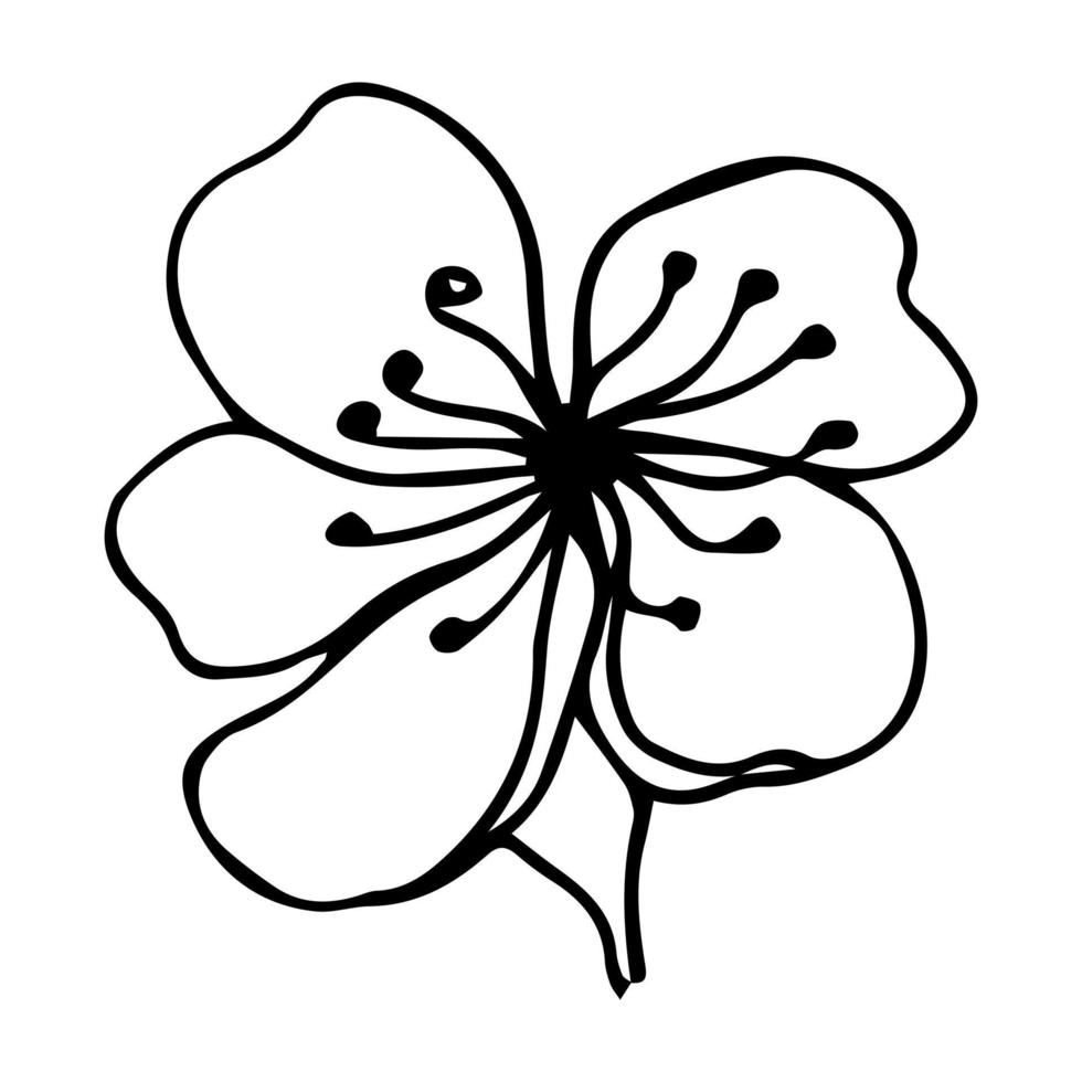 icono de garabato de flor de sakura. línea trasera aislada en blanco. dibujo floral de contorno de una línea. ilustración vectorial vector