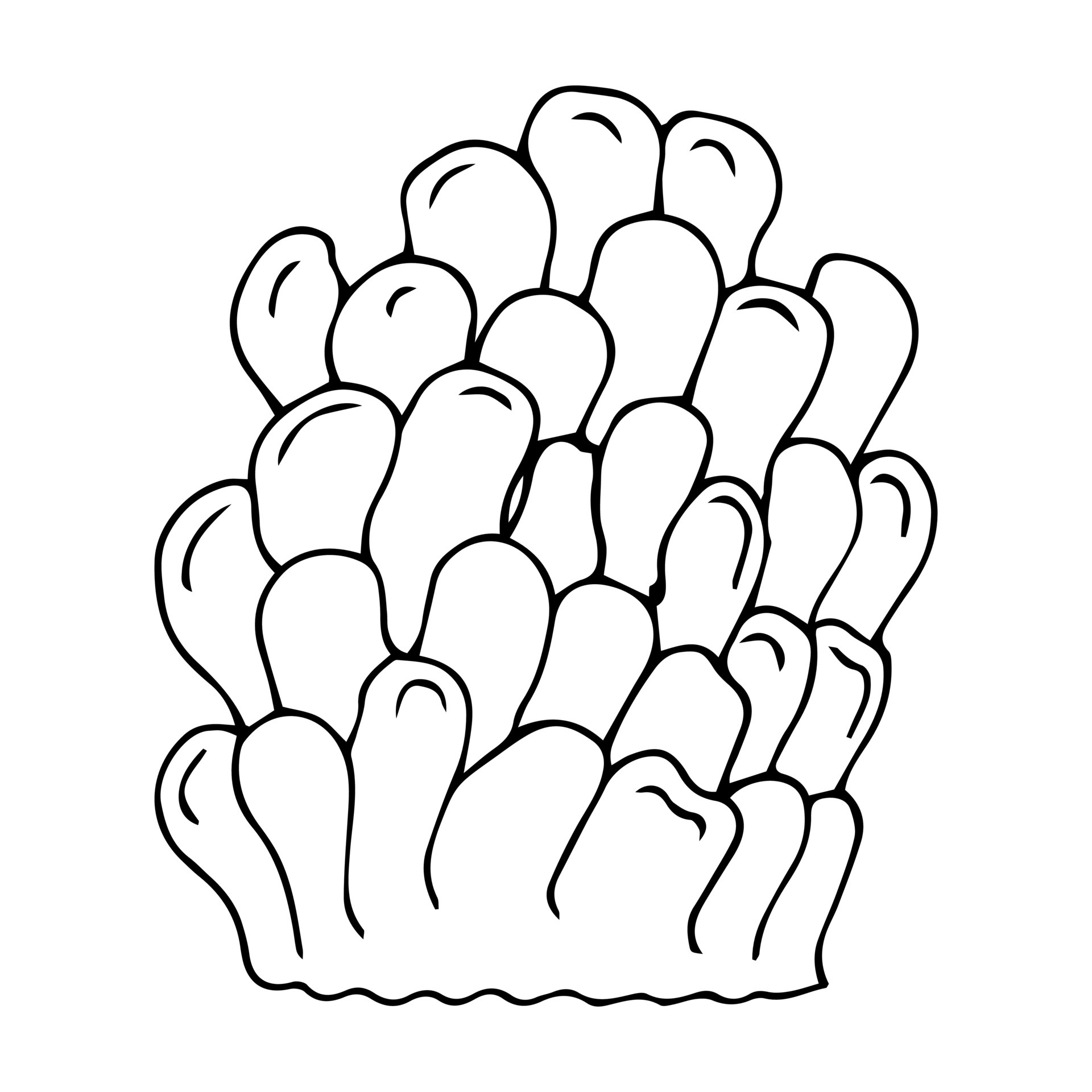 Coral Template Coral Template