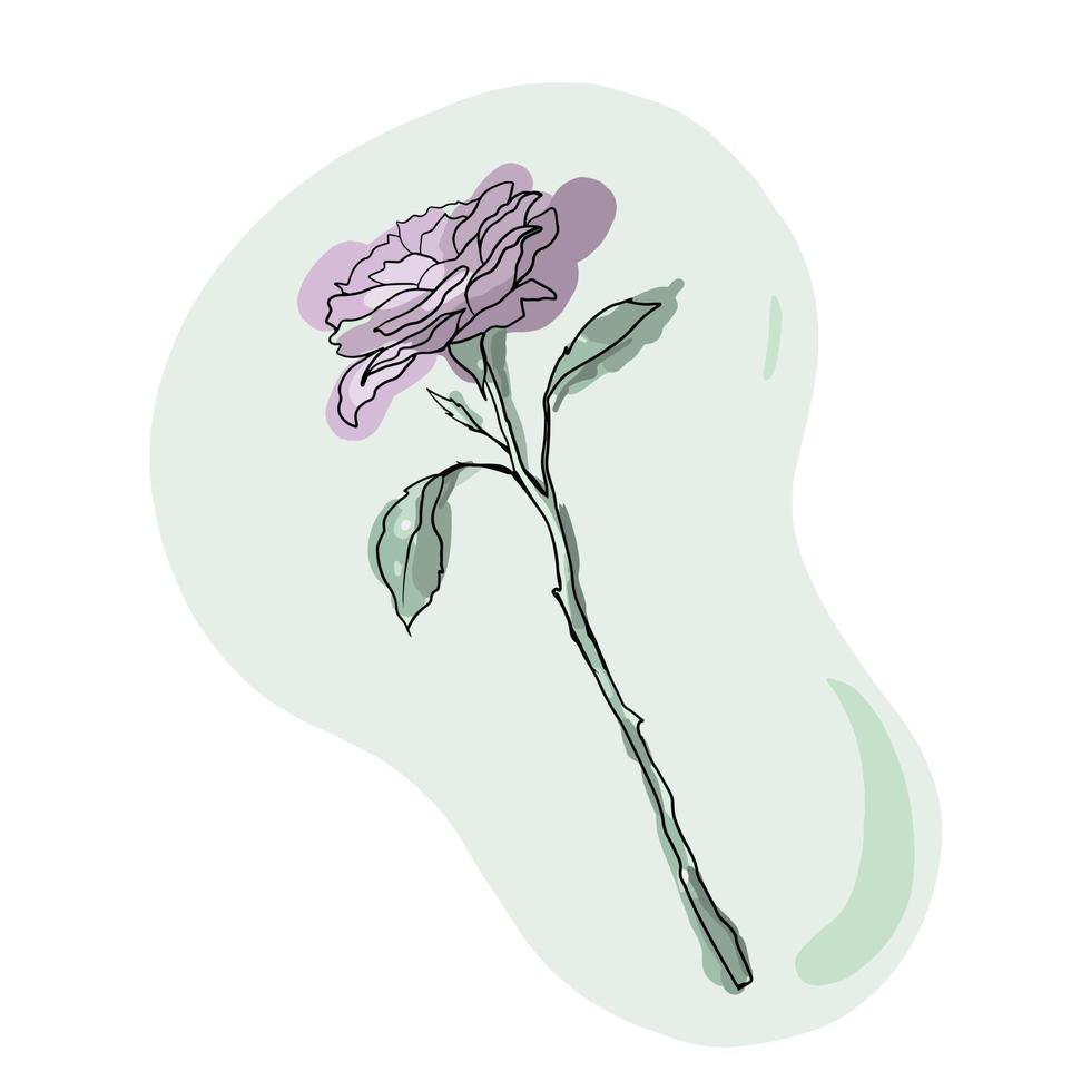 blossom rose flower vector illustration