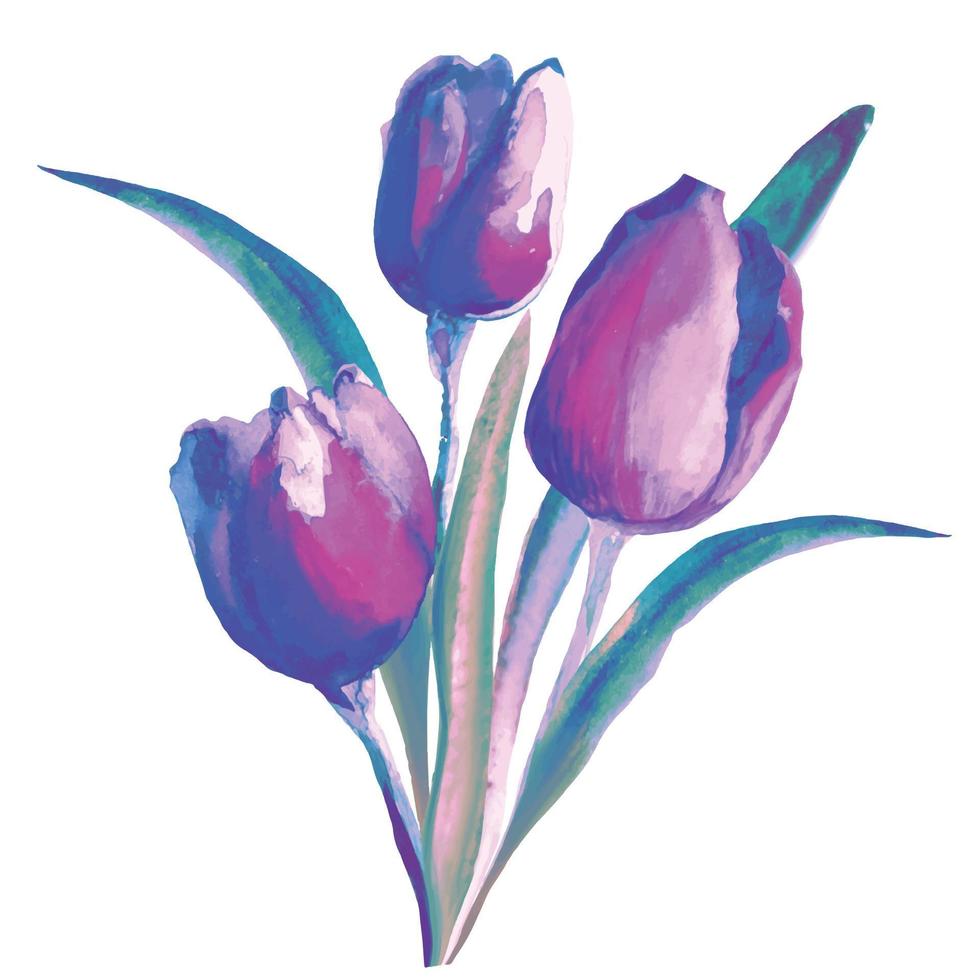 tulipanes rosas en una ilustración de acuarela de ramo vector