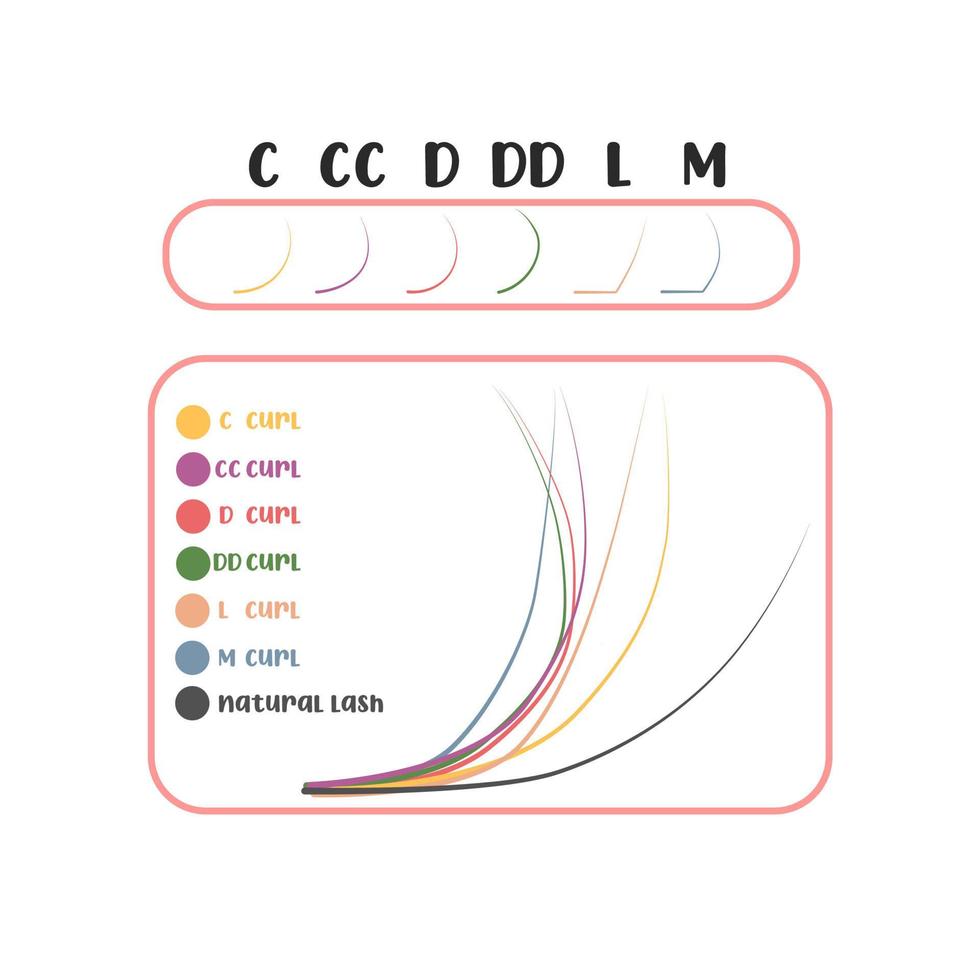 Eyelash extension. False eyelash curl options. Eyelash curl types B, C, D,DD, CC, l, M vector